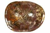 Polished Petrified Wood Bowl/Dish - Madagascar #304672-1